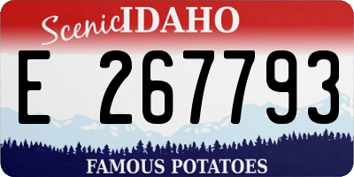 ID license plate E267793