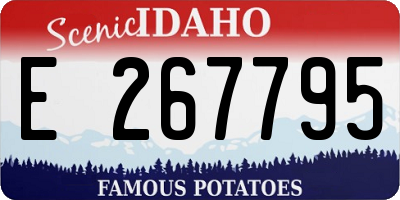 ID license plate E267795