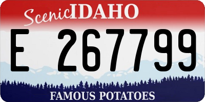 ID license plate E267799