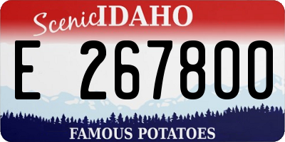 ID license plate E267800