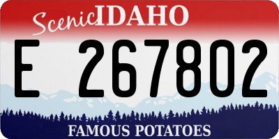 ID license plate E267802