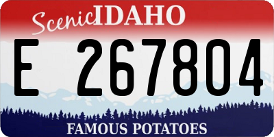 ID license plate E267804