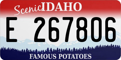 ID license plate E267806