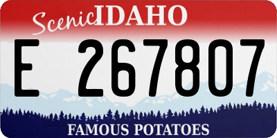 ID license plate E267807