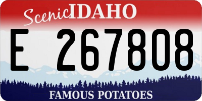 ID license plate E267808