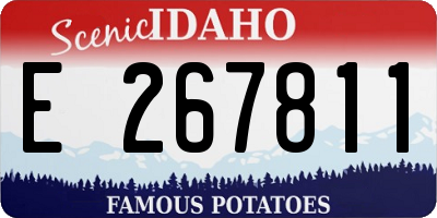 ID license plate E267811