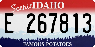 ID license plate E267813