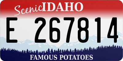ID license plate E267814
