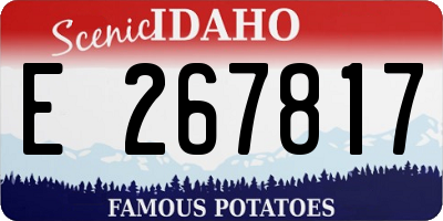 ID license plate E267817