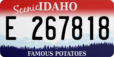 ID license plate E267818