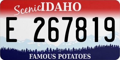 ID license plate E267819