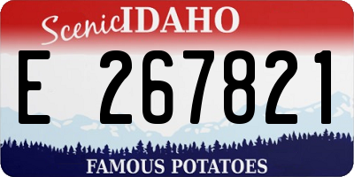 ID license plate E267821