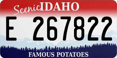 ID license plate E267822