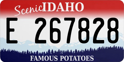ID license plate E267828