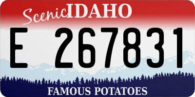 ID license plate E267831