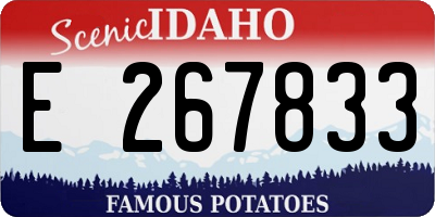 ID license plate E267833