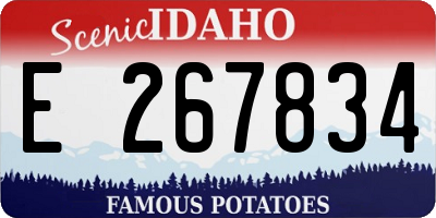ID license plate E267834