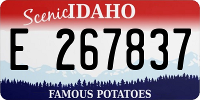 ID license plate E267837