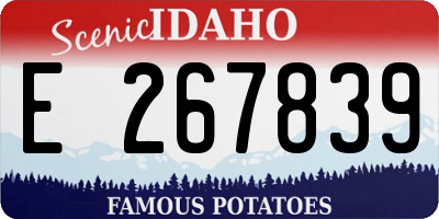 ID license plate E267839