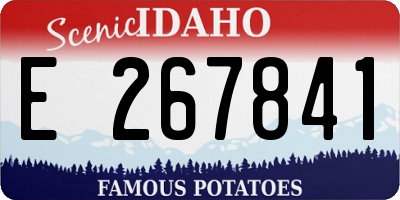 ID license plate E267841