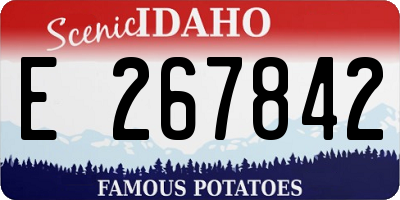 ID license plate E267842