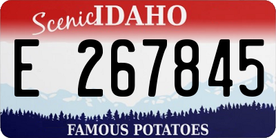 ID license plate E267845