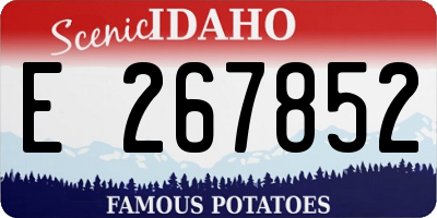 ID license plate E267852