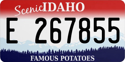 ID license plate E267855