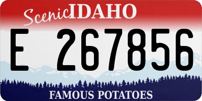 ID license plate E267856