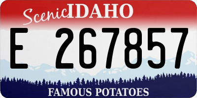 ID license plate E267857