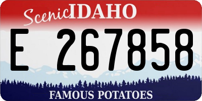 ID license plate E267858
