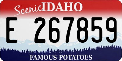 ID license plate E267859