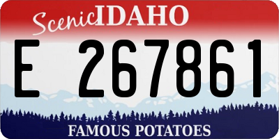 ID license plate E267861