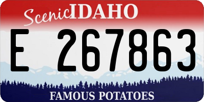 ID license plate E267863