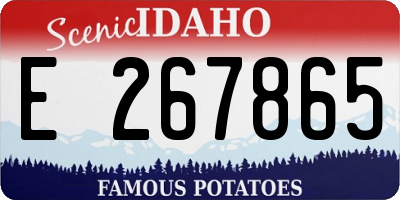 ID license plate E267865