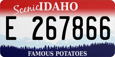 ID license plate E267866