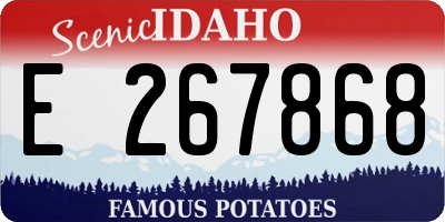 ID license plate E267868