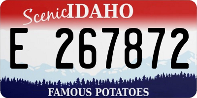 ID license plate E267872