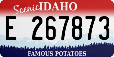 ID license plate E267873