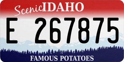 ID license plate E267875