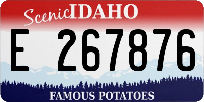 ID license plate E267876
