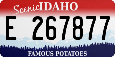 ID license plate E267877