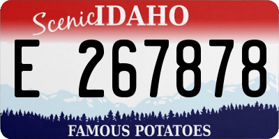 ID license plate E267878