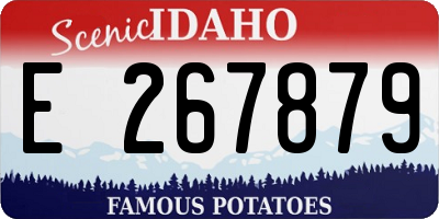 ID license plate E267879