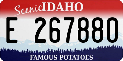 ID license plate E267880