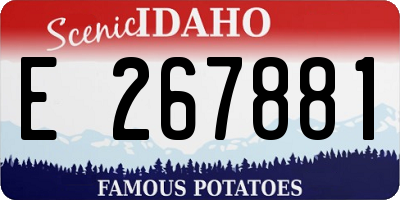ID license plate E267881