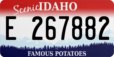 ID license plate E267882