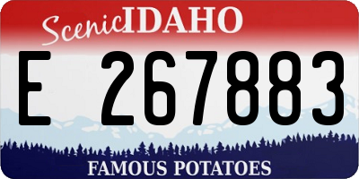 ID license plate E267883