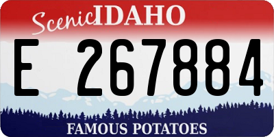 ID license plate E267884