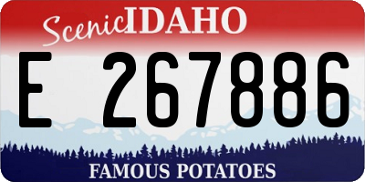 ID license plate E267886
